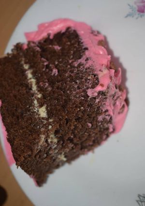 A picture of Tammy treats chocolate cake with frosting.