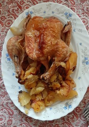 عکسی از دستور مرغ تو فر🐔