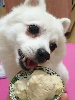 [狗狗鮮食] 旗魚青椒豬肉丸 的食譜成品照片