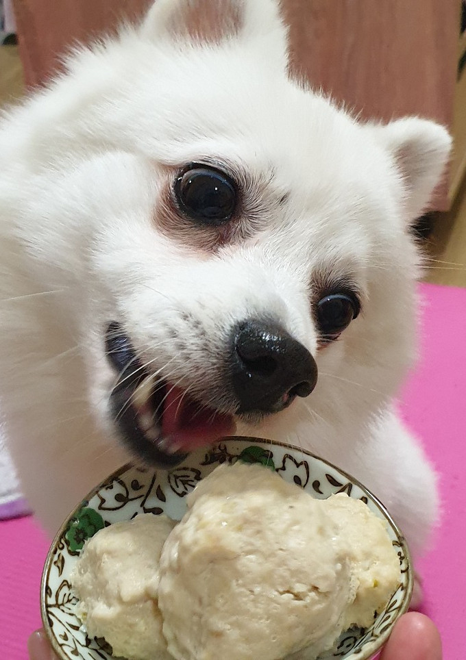 [狗狗鮮食] 旗魚青椒豬肉丸 的食譜成品照片