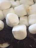 S’More fudge