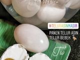 Telur Asin bebek Masir