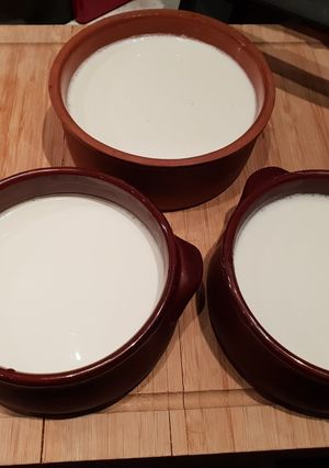 Φωτογραφία της συνταγής Γιαούρτι σπιτικό