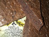 Brownie de aceite!