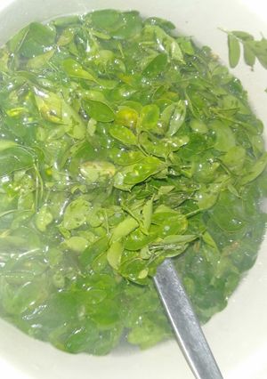 Foto resep Sayur Kelor Tinggi Manfaat
