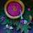 Beetroot Sabudana Kheer