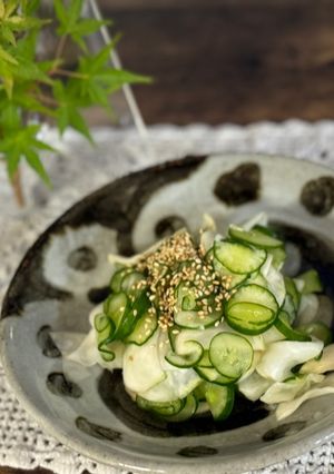 A picture of Turnip and Cucumber Salad.