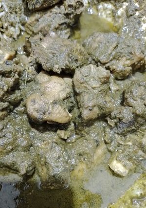 হারিয়ালী চিকেন(hariyali chicken recipe in Bengali) রেসিপির প্রধান ছবি