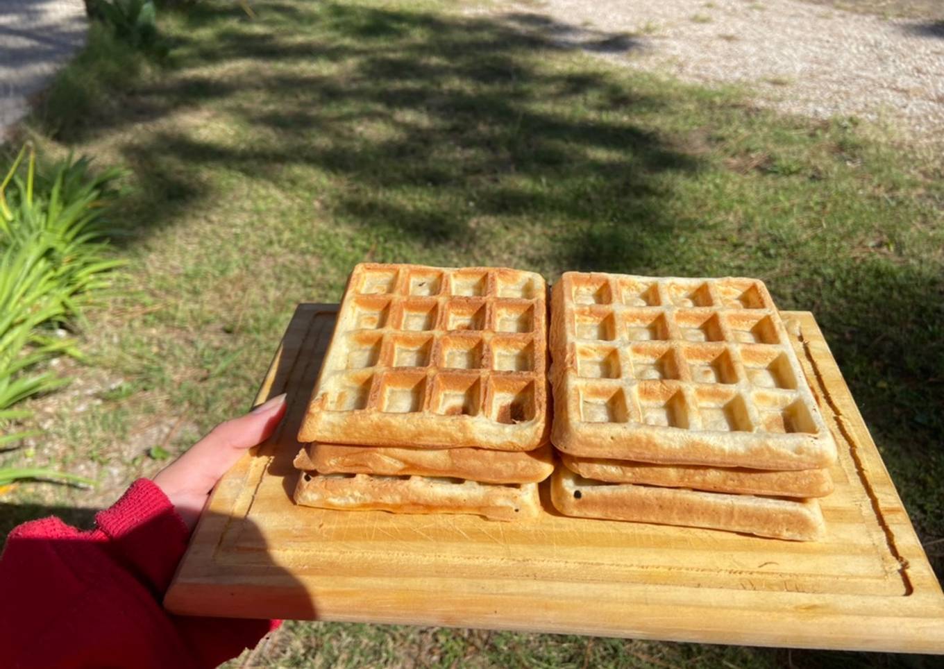 🧇Waffles crocantes 🧇