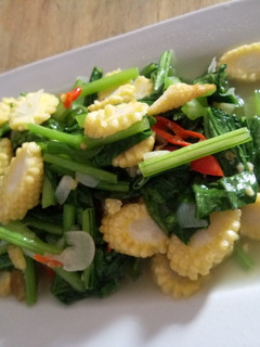 Foto resep Tumis cecim hijau