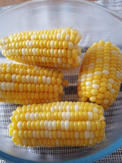 A picture of Sweet Corn.