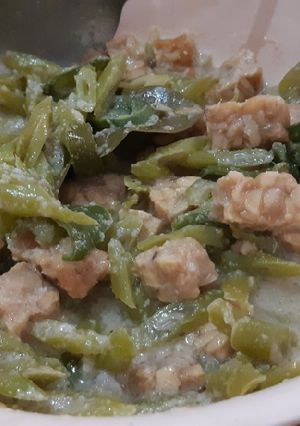 Foto resep Tumis buncis tempe santan