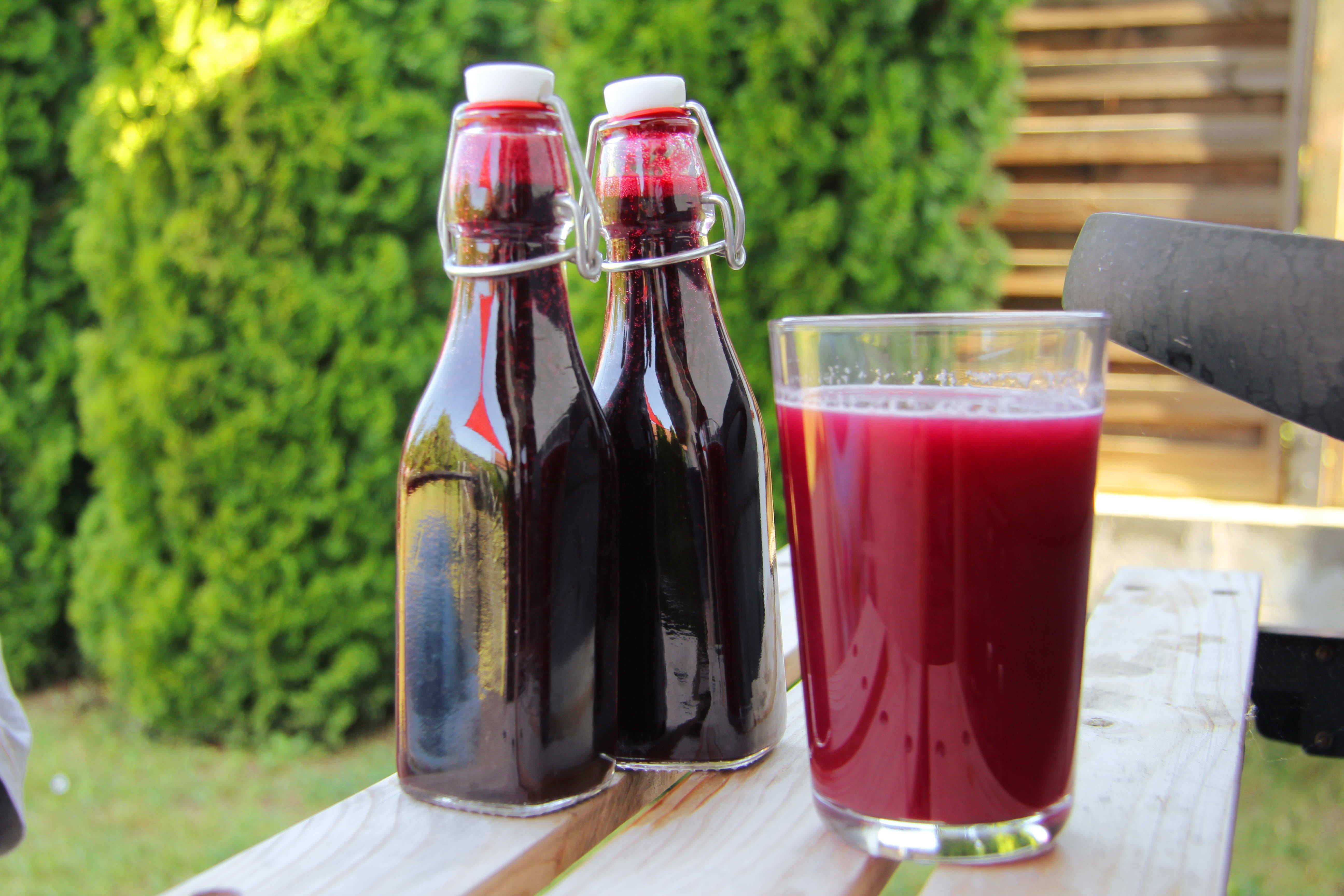 Egyszerű feketeszeder szörp recept recept fotó