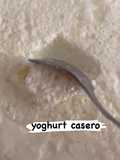 Yoghurt casero como En Albania