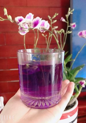 Hình của món Trà đậu biếc.