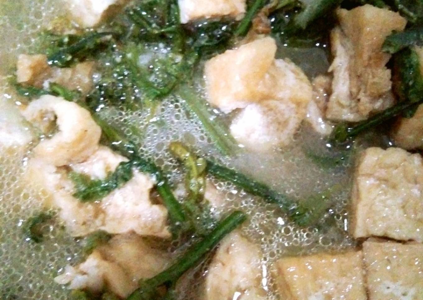 Pakis Tahu