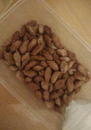 Foto resep Biji ketapang kw simple(kres2, empuk & tanpa telor)