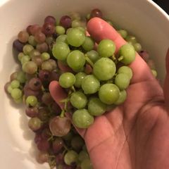 A picture of Sour grapes pickles.