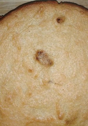 উরিষ‍্যা ছানাপোড়া(orissa chana poda recipe in bengali) রেসিপির প্রধান ছবি