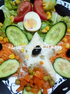 صورة لوصفة سلطة مشكلة