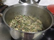 Una foto de hongos shiitake