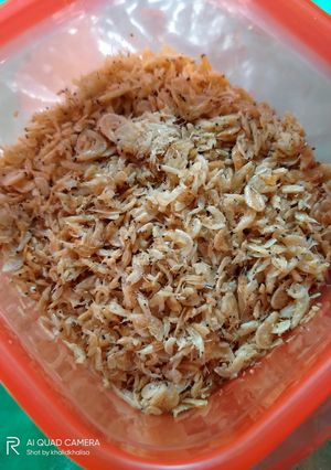 Foto resep Tips Menyimpan Udang Rebon/Ragu