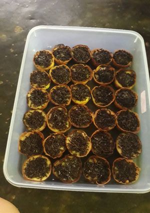 Foto resep Martabak mini