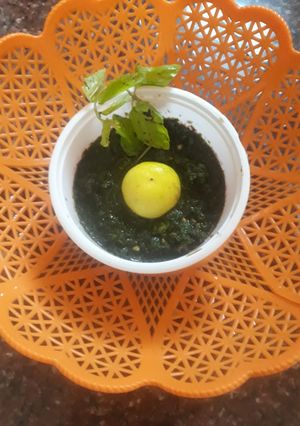 A picture of Pudine ki chutney.