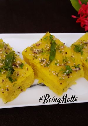 A picture of Dudhi Khaman Dhokla.