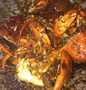 Langkah Mudah untuk Menyiapkan Resep Kepiting Lada hitam yang Sempurna Anti Ribet, Mantap Sekali