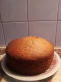 Bizcochuelo esponjoso de dulce de leche
