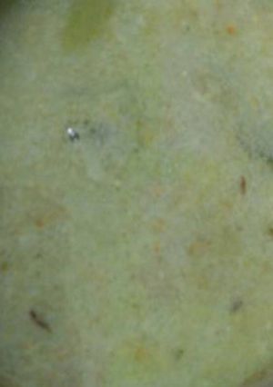 Foto resep Lodeh Tempe Buncis