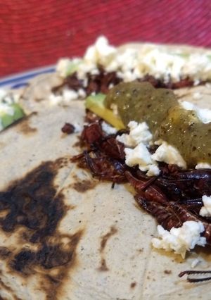Una foto de Tacos de chapulines
