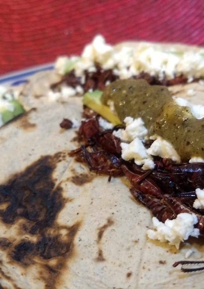 Una foto de Tacos de chapulines