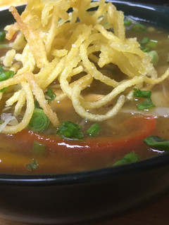 A picture of Chicken veg manchow soup.