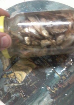 A picture of Salt fish.