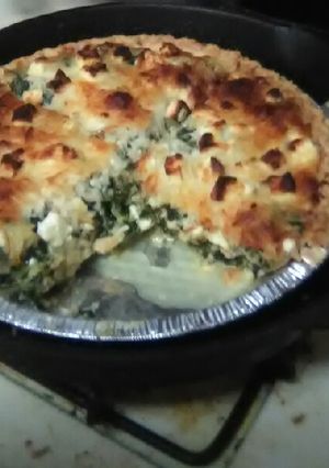 A picture of Cheesy Chicken and Spinach Pie.