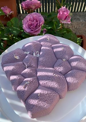 Foto di Entremet Ametista