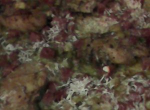 Una foto de Pollo con calabacín, jamón, arroz al graten