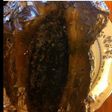 Magret de canard en papillote épices miel et herbes