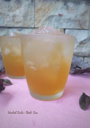 Foto resep Herbal Soda