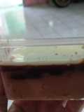 Jelly ubi vla vanila
