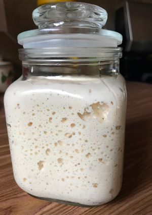 Foto resep Sourdough/Ragi Alami