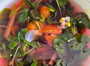 Foto resep 302. Sayur Bening Bayam Merah