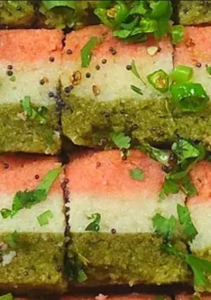 A picture of Tricolour dhokla.