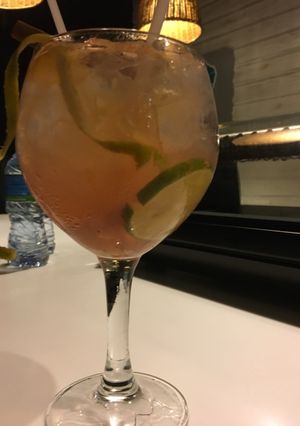 Foto principal de Gintonic, ginebra con tónica súper digestivo 🍹