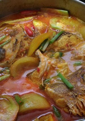 Foto resep Singang ikan kakap samawa