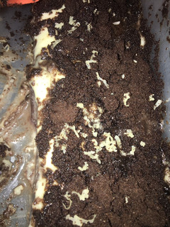 Foto resep Puding Nutrijel with fla