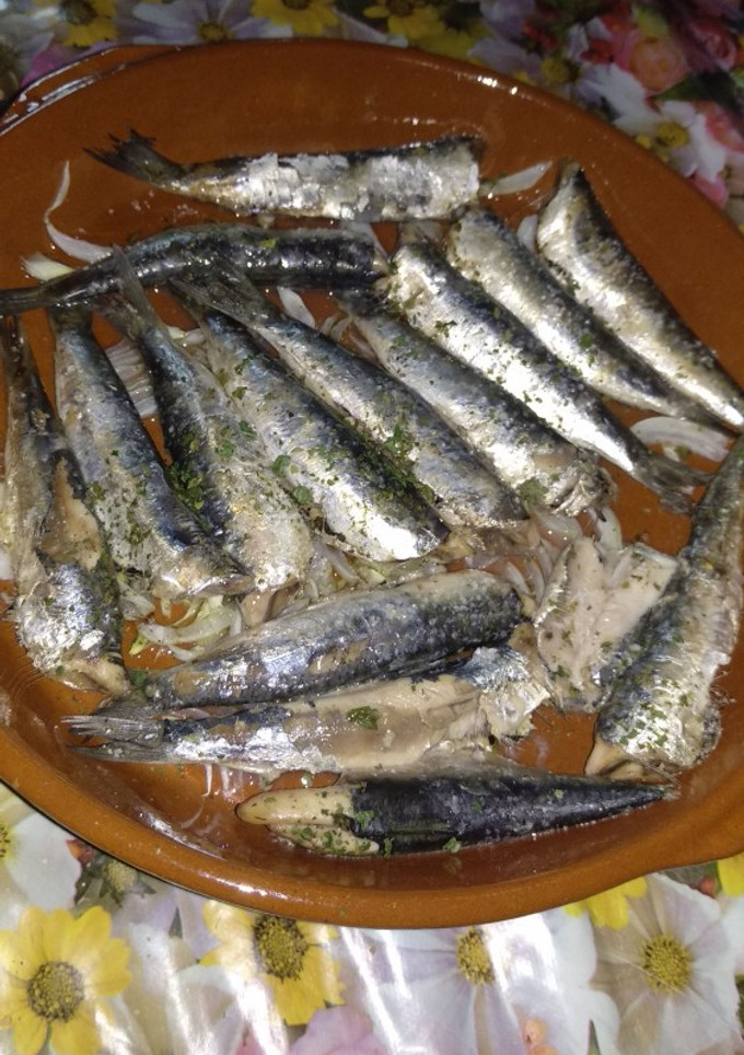 Una foto de Boquerones rápidos 🌊🐟