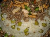 بازيلا ورز
